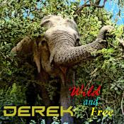 BriaskThumb DEREK   Wild And Free.1